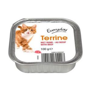 Everyday Cat Terrine Salmon 100g