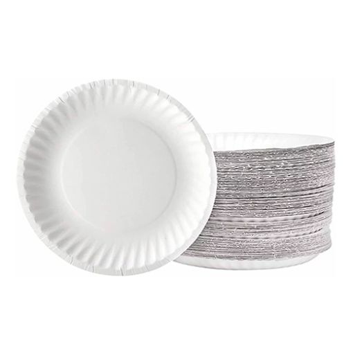 Shine 50 Disposable Plates 7 inch
